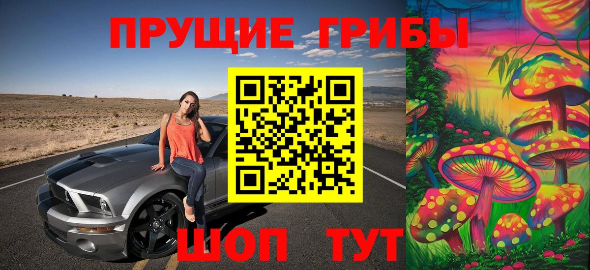 Галлюциногенные грибы Psilocybine cubensis  Вход с VPN  Шахты 